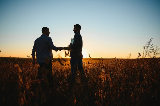 Why Buy Beef In Bulk? Convenience, Savings, and a Story You Can Join